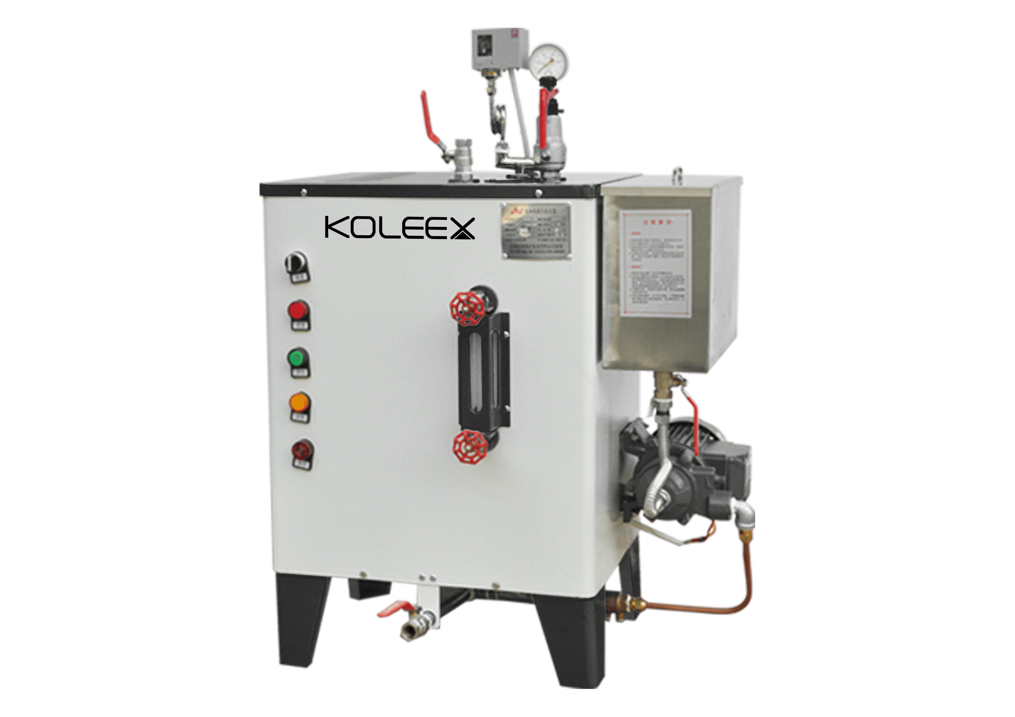 Electric Steam Generator